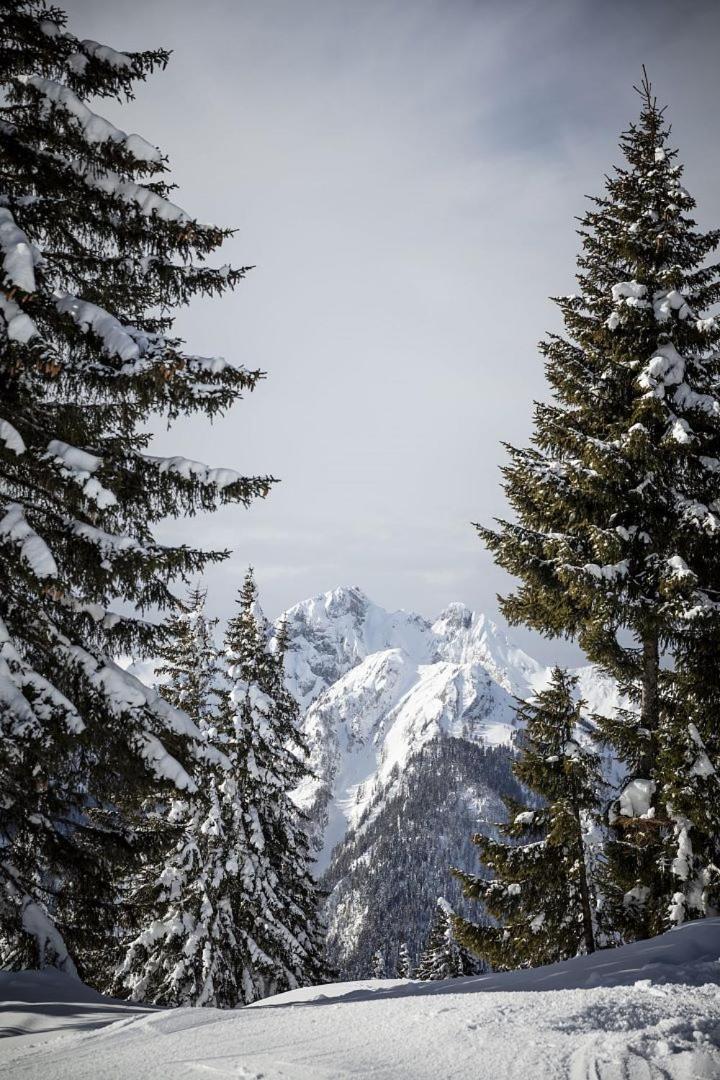 Zederberg Appartements Sankt Johann im Pongau Esterno foto